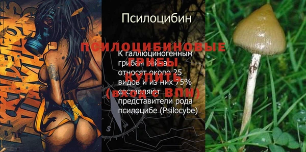 мдпв Горняк